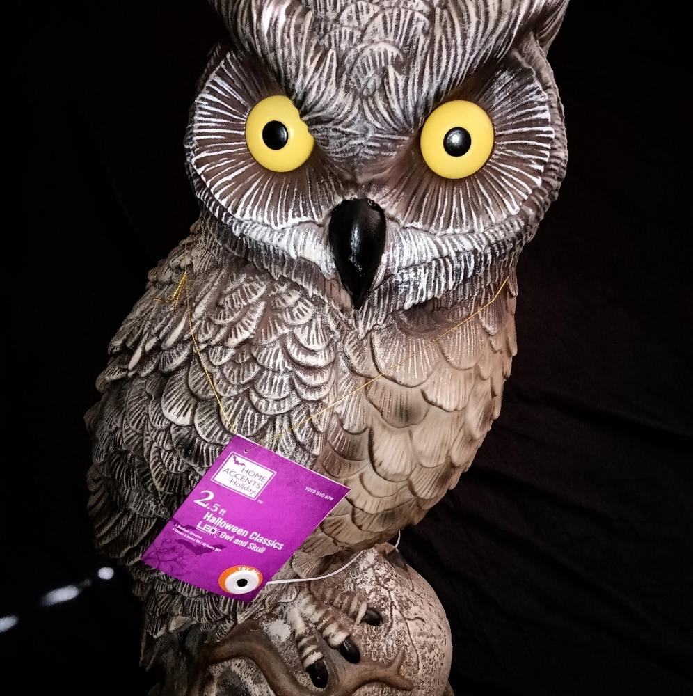 2.5 Ft Owl and Skull Blow Mold LED Light Up Eyes Halloween NEW IN HAND